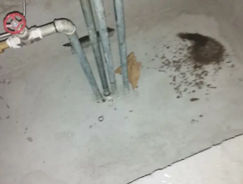 尉氏卫生间测漏水价格明细