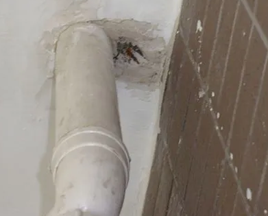 尉氏漏水检测哪家好